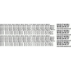 BLACK CAT DECAL - BC322 - CANADIAN PACIFIC REWEIGH DATES & LOCATIONS - 1955-1959 - WHITE LETTERING - HO SCALE