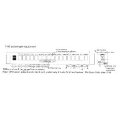 BLACK CAT DECAL - BC060-O - TORONTO HAMILTON & BUFFALO PASSENGER CAR - DULUX GOLD - O SCALE