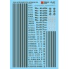 MICROSCALE DECAL 87-577 - DENVER & RIO GRANDE WESTERN SKI & BUSINESS CARS - HO SCALE