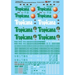 MICROSCALE DECAL 87-1365 -...